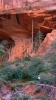 PICTURES/Zion National Park - Yes Again/t_Double Arch Alcove11.JPG